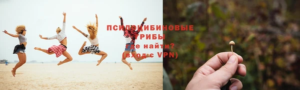 первитин Михайлов