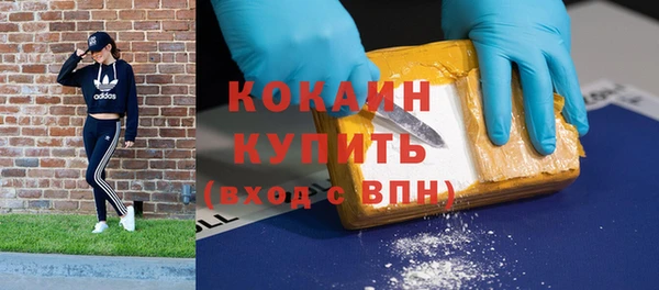 гашик Михайловка