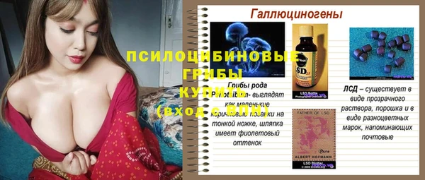 гашик Михайловка