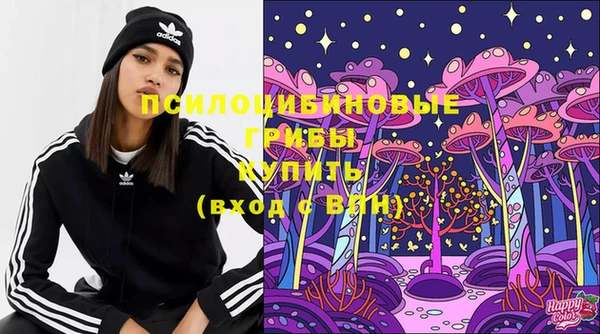 гашик Михайловка