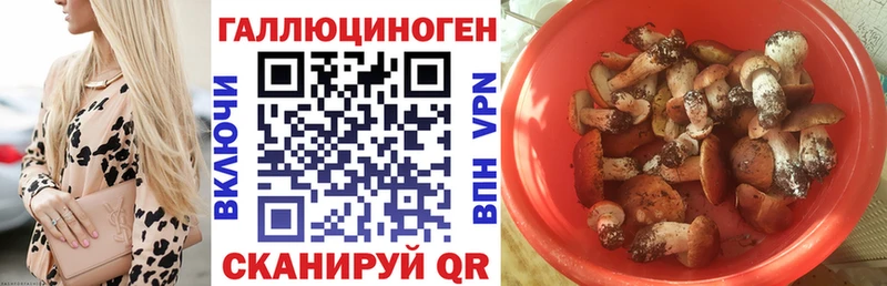 Псилоцибиновые грибы мицелий  как найти закладки  Няндома 